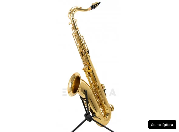 Wisemann DTS-350