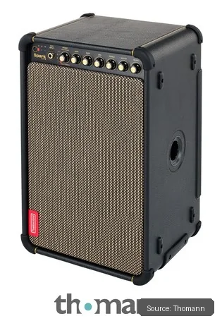 Positive Grid Spark Live B-Stock