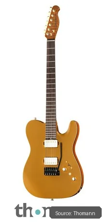 Harley Benton Fusion-T II HH RW SGD B-Stock