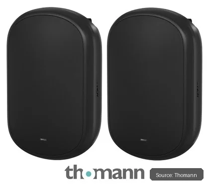 Tannoy Dvs 801 B-Stock